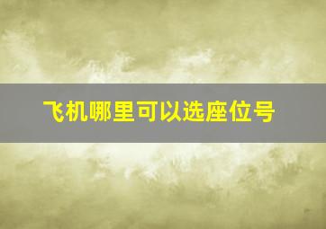 飞机哪里可以选座位号