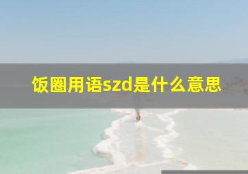 饭圈用语szd是什么意思