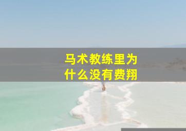 马术教练里为什么没有费翔