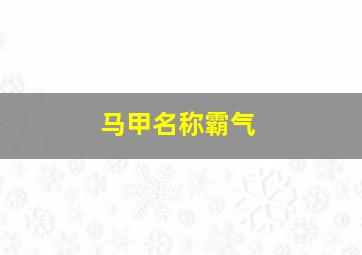 马甲名称霸气