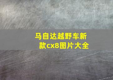 马自达越野车新款cx8图片大全