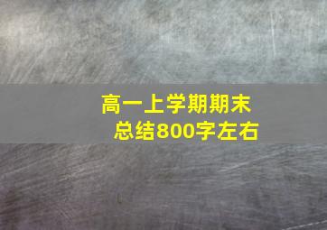 高一上学期期末总结800字左右