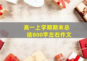 高一上学期期末总结800字左右作文