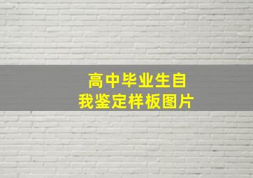 高中毕业生自我鉴定样板图片