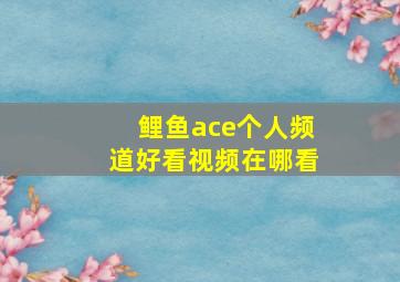 鲤鱼ace个人频道好看视频在哪看