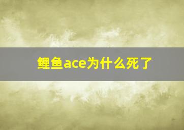 鲤鱼ace为什么死了