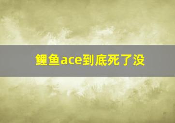 鲤鱼ace到底死了没