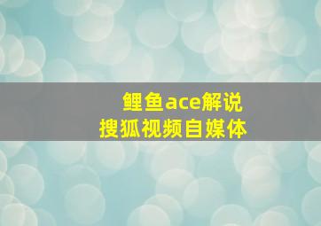 鲤鱼ace解说搜狐视频自媒体