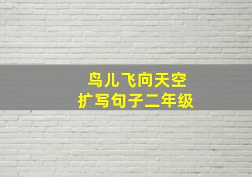 鸟儿飞向天空扩写句子二年级