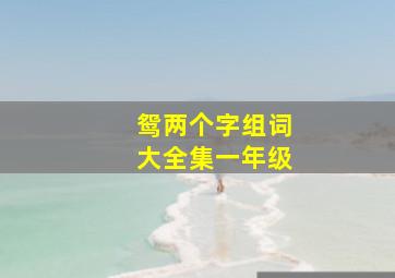 鸳两个字组词大全集一年级