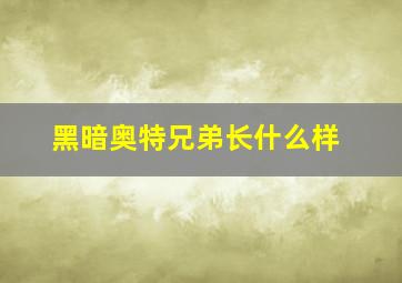 黑暗奥特兄弟长什么样