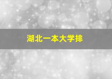 湖北一本大学排