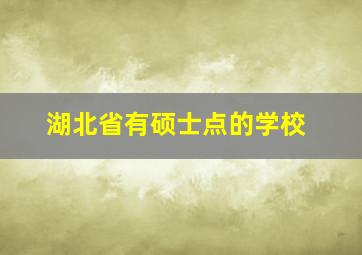 湖北省有硕士点的学校